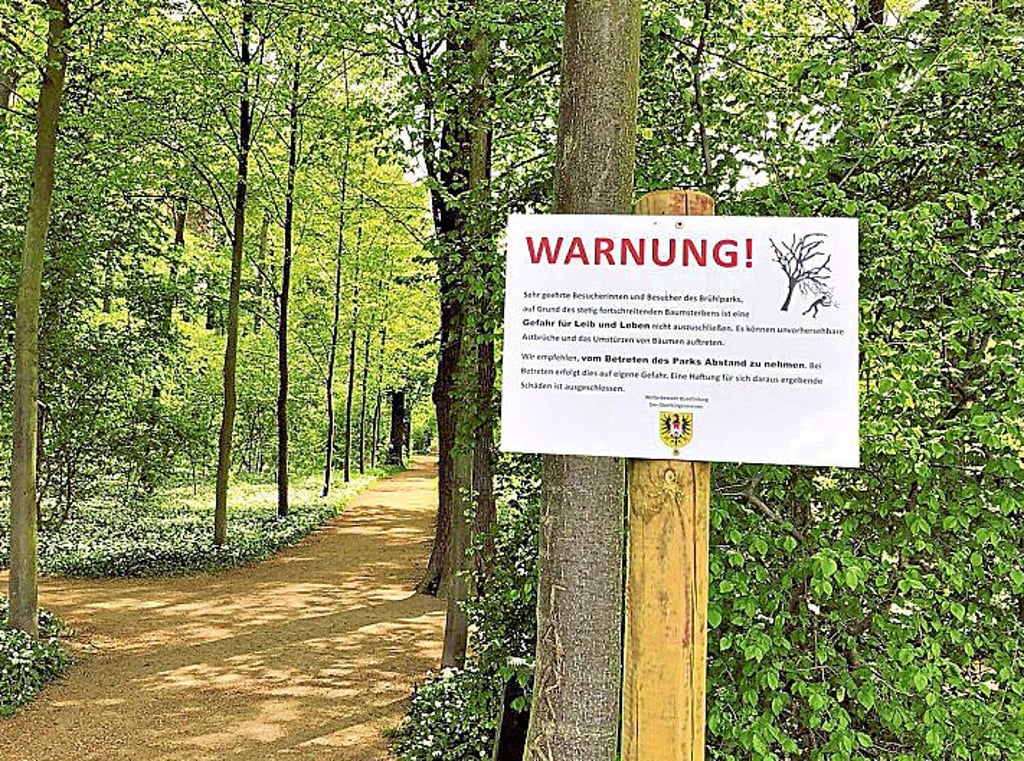 Schilder warnen am Brühlpark, das aufgrund des Baumsterbens eine Gefahr für Leib und Leben nicht auszuschließen ist. Vom Betreten des Parks wird abgeraten.