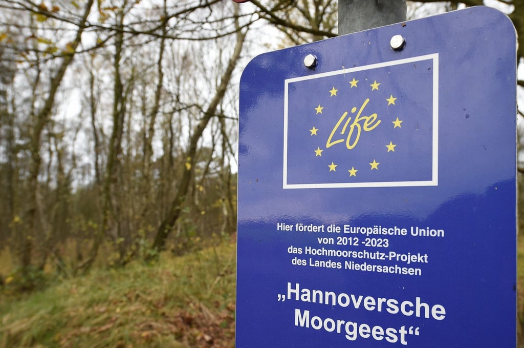 Das Hochmoorschutz-Projekt des Landes Niedersachsen „Hannoversche Moorgeest“ im Naturschutzgebiet Bissendorfer Moor.