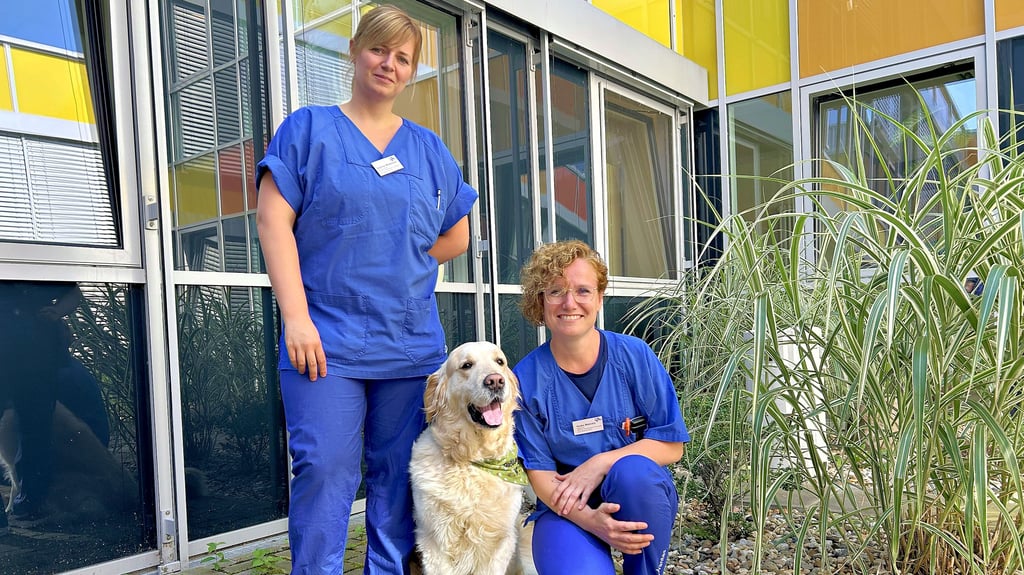 Sabrina Wiedekind (links) ist Assistenzärztin in der Onkologie und kommt ehrenamtlich mit ihrem Besuchshund Anton auf die Palliativstation des Magdeburger Klinikums. Oberärztin Heike Maleike unterstützt die Arbeit und sieht den positiven Effekt bei Patienten.