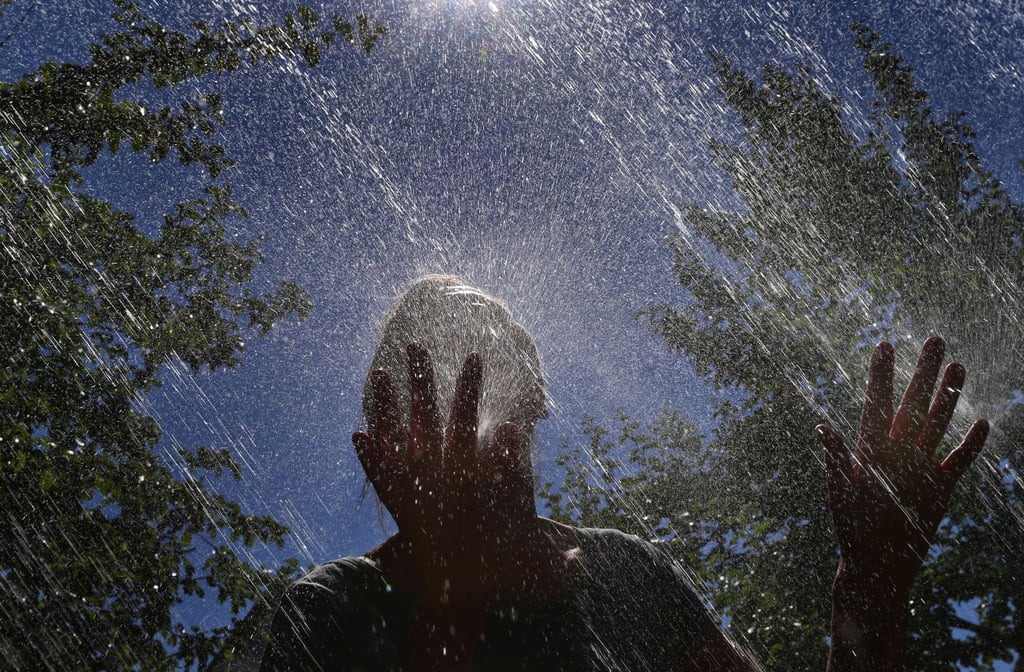 Ein Wassernebel - ob aus der Sprühflasche, dem fein eingestellten Wasserschlauch oder Rasensprenger - sorgt für Abkühlung.