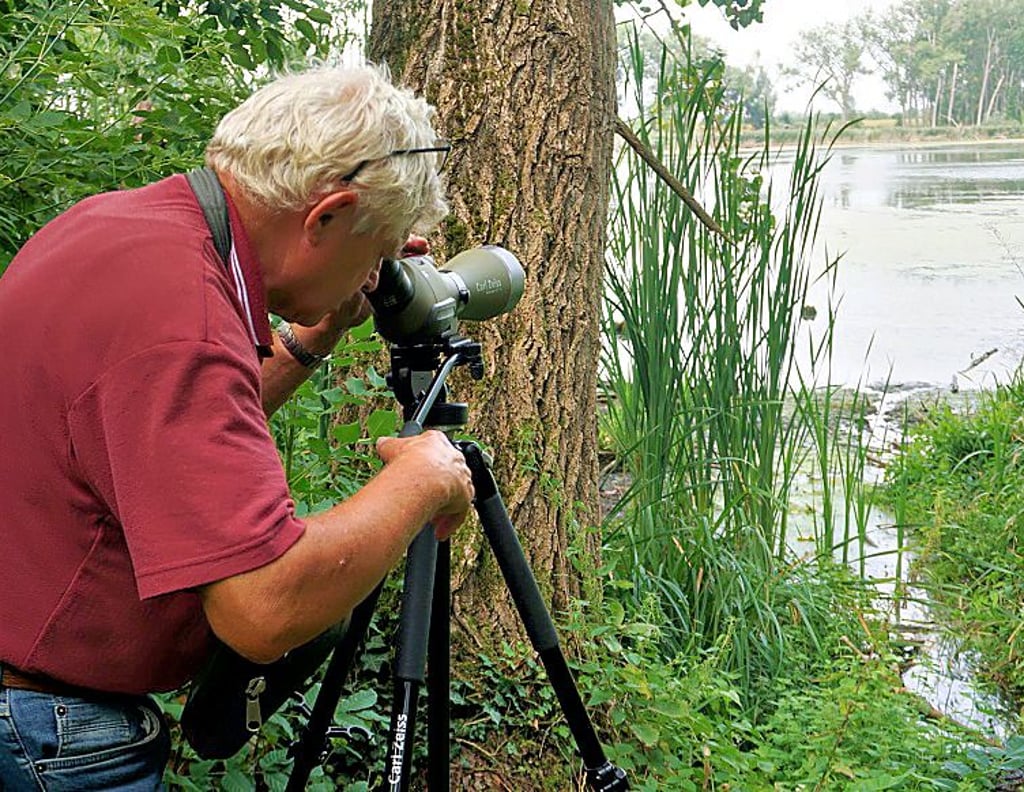 Verfahren gestartet Naturschutzgebiete im Visier Land auch