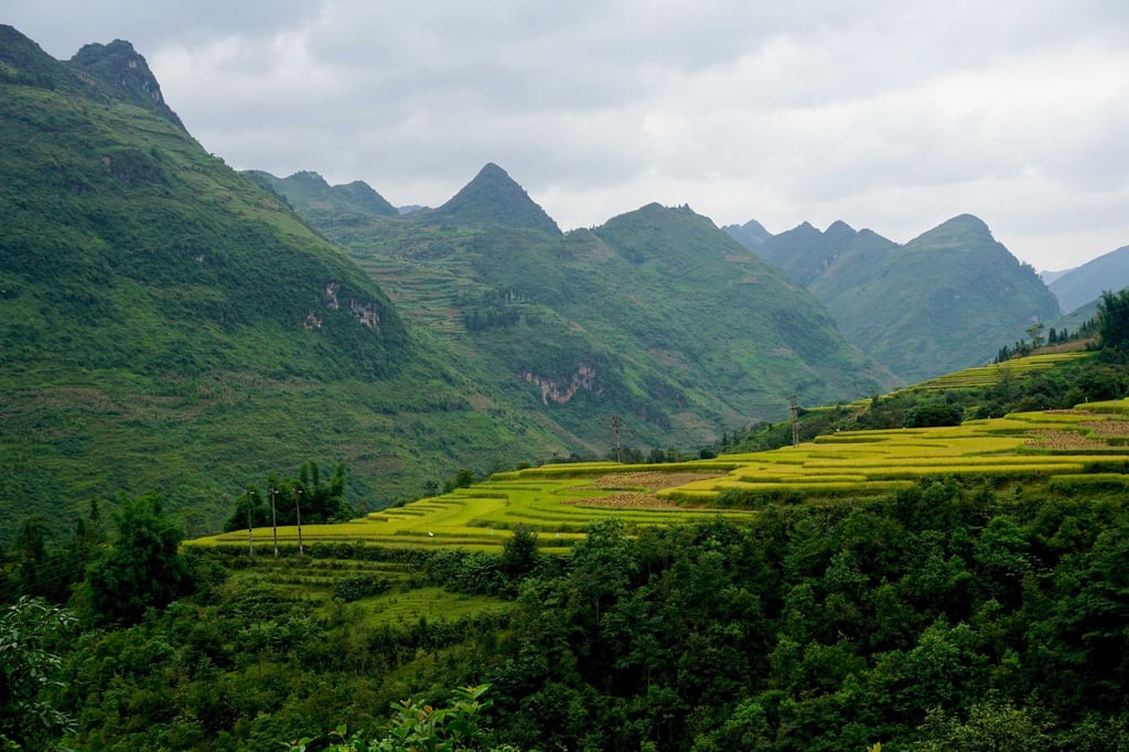 Vietnam bietet auch das: wilde Berglandschaften. Längere Reisen ins Land sind nun visafrei möglich.
