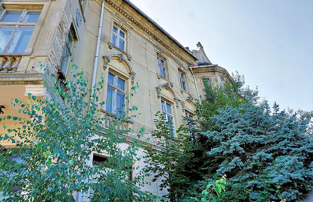 Die Fassade zur Dürerstraße hin wächst immer weiter zu.