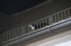 Nichts ging mehr, die Katze saß auf dem Dach der Franckeschen Stiftungen in Halle fest.