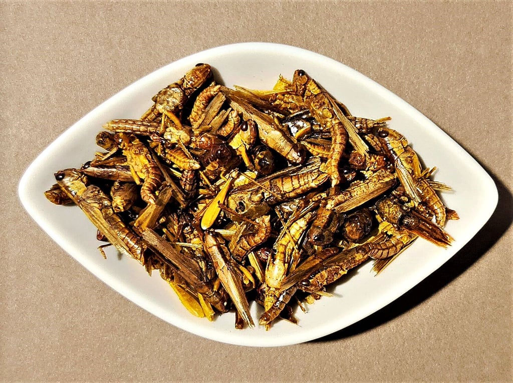 Insekten wie Heuschrecken zählen als Nahrungsmittel der Zukunft, lösen bei vielen aber Ekel aus.