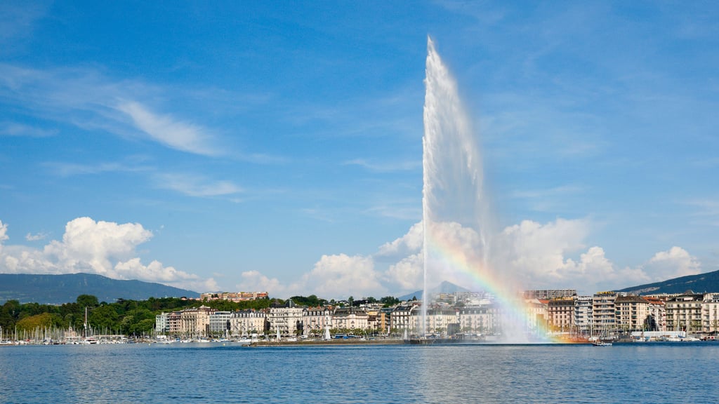 Der Jet d'Eau ist das Wahrzeichen des Genfer Seebecken. Am Montag versuchte ein Mann die Riesenfontäne zu umarmen und wurde dabei verletzt.