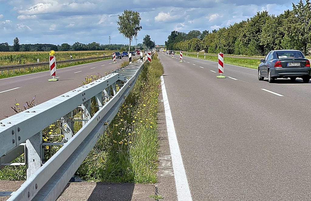 Bei der Erneuerung der Schutzplanken an der B188 zwischen Stendal und Tangermünde soll der Grünstreifen verschwinden. Die Grünen wollen das verhindern.