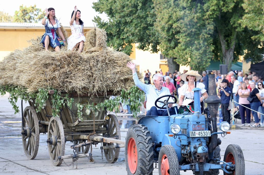 Große Parade: Olaf Feuerborn, Präsident des Landesbauernverbands Sachsen-Anhalt, sitzt am Steuer, als die Erntekronen ihr Ziel erreichen.