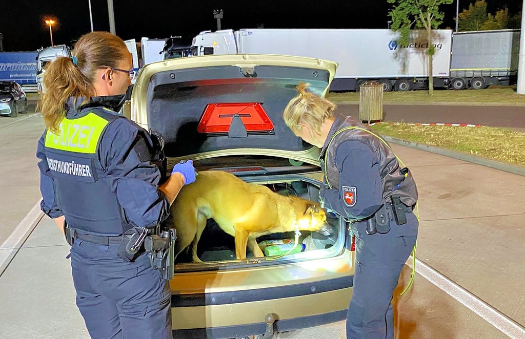 Immer wieder haben die Polizisten einen Verdacht auf Drogenbesitz. Die schnellste Art, diesen Verdacht zu überprüfen, ist mit der feinen Nase eines Hundes.