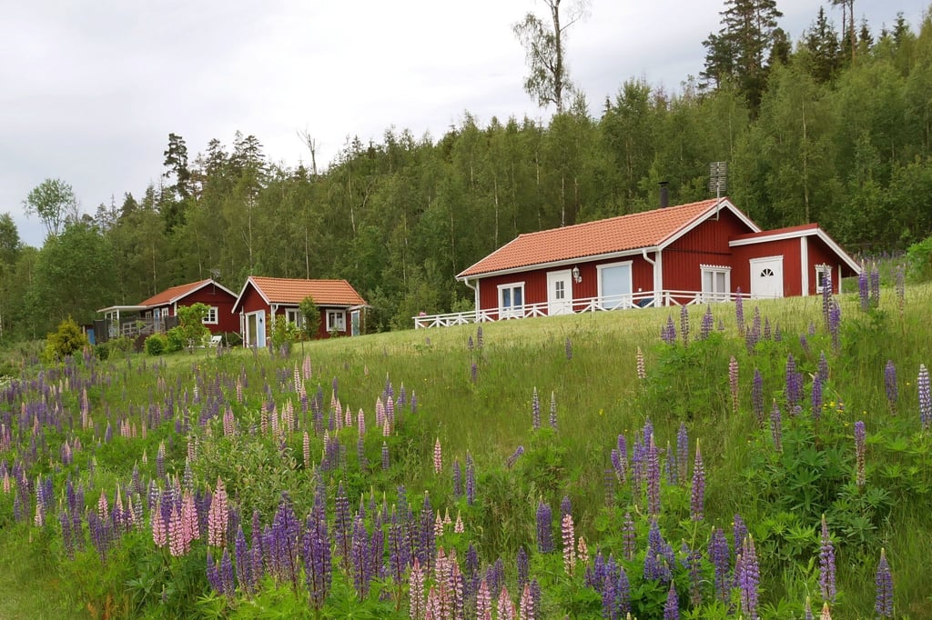 In der schwedischen Natur gibt es eine Vielzahl an Hütten, in denen Reisende kostenfrei übernachten können.