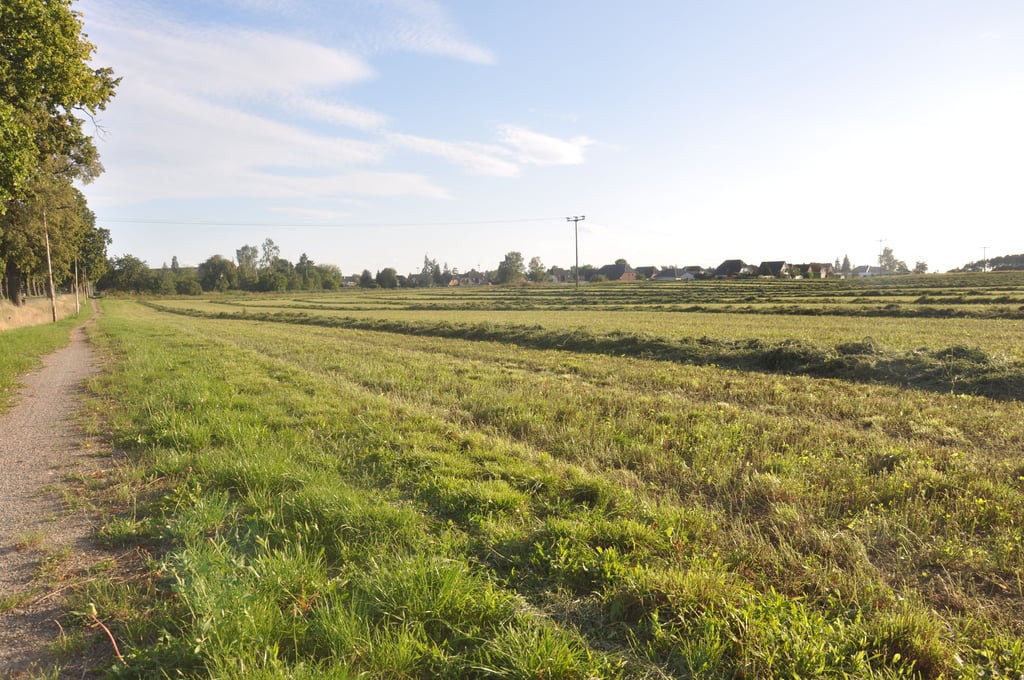 Am nördlichen Stadtrand von Osterburg soll das neue Wohngebiet entstehen.