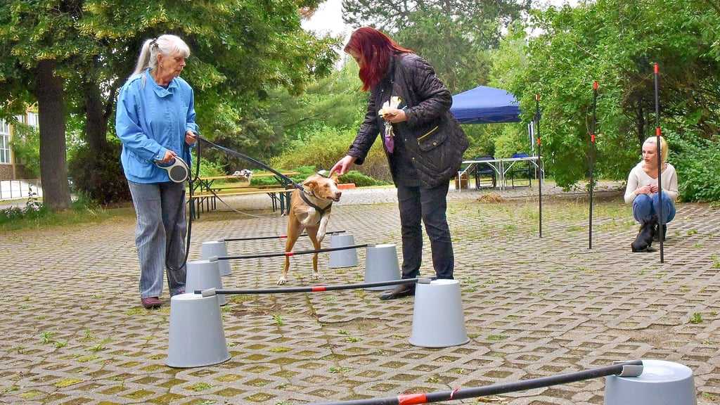 Im Jahr 2019 konnte das Sommerfest des Vereins wegen der Pandemie das letzte Mal gefeiert werden. Nächstes Jahr soll es wieder stattfinden.