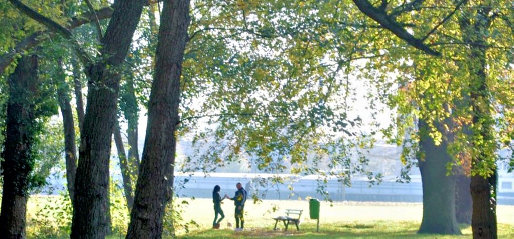 Auch wenn es in diesem Jahr mehr Regen und weniger Hitze in den Sommermonaten gab, ist die Natur immer noch von den heißen Vorjahren belastet.