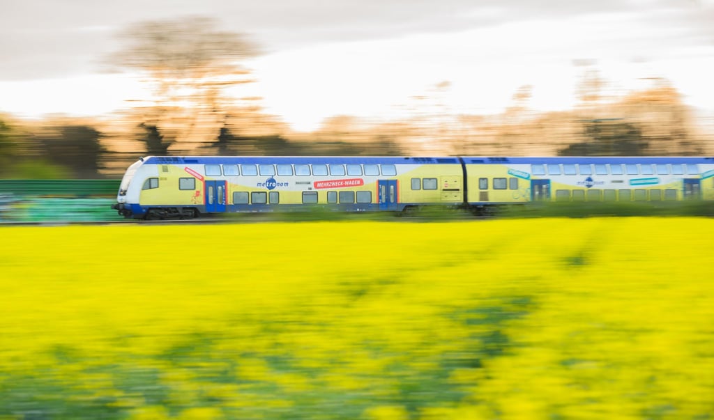 Eine Bahn von Metronom fährt am Morgen an einem blühenden Rapsfeld vorbei.