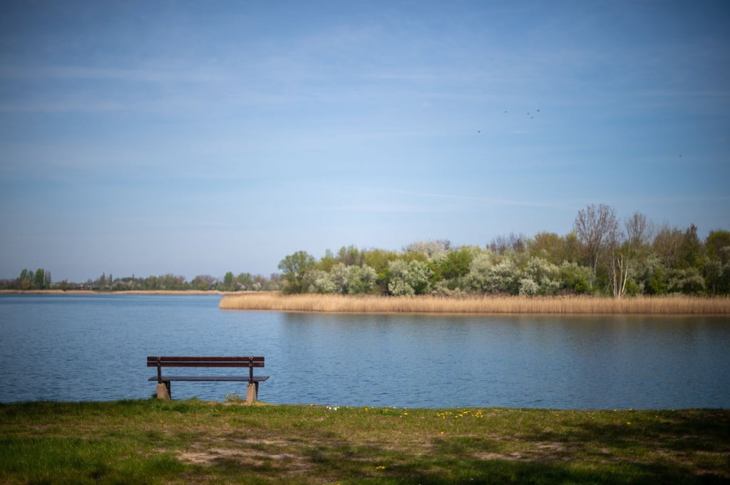Eine Bank steht am Ufer des Strandbades Neustädter See.