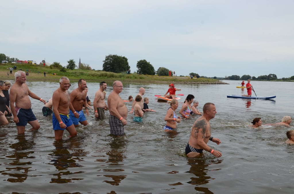 Los geht es! Die Teilnehmer des Tangermünder Elbeschwimmens steigen in den Fluss.