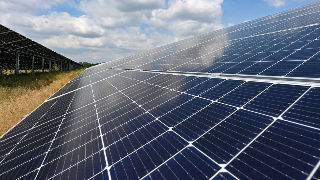 Die Baustelle für ein Solarfeld in Nienburg wurde zum Tatort: Acht Kilometer Elektrokabel wurden dort entwendet.