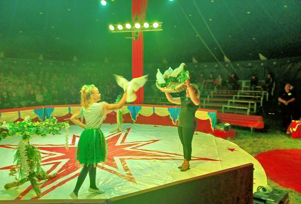 Die 13-jährige Melina Wetzlar (links) vom Circus Klecks lässt die Tauben in den von Jamie Sperlich gehaltenen Korb fliegen.