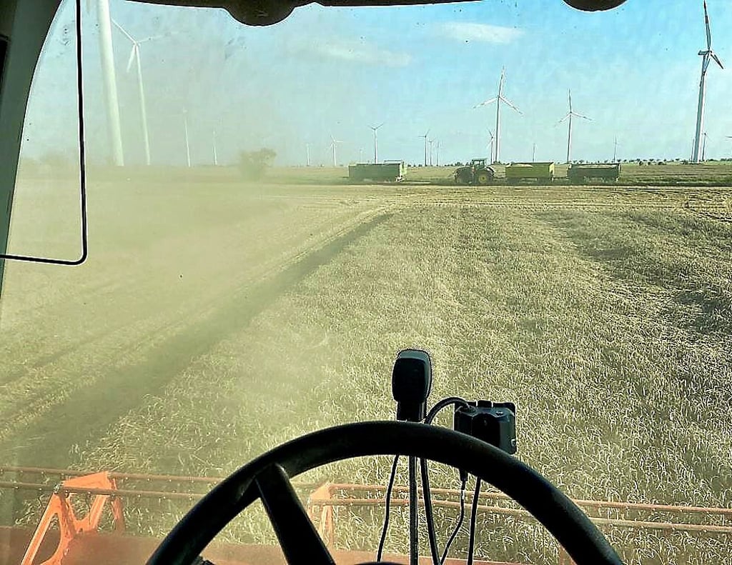 Das ist der Blick aus dem Mähdrescher in Fahrtrichtung. Man sitzt ziemlich hoch über dem Boden.
