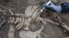 Romy Wirsich (Studentin) legt im Grabungsbereich einer historischen Richtstätte im Harz ein Skelett frei.