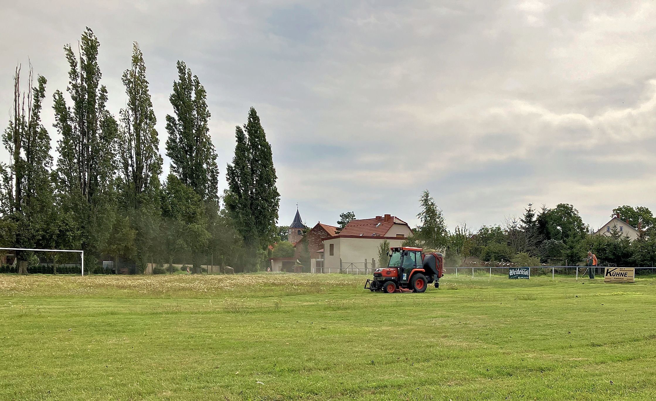 Wildwuchs In Falkenstein/Harz: Falkensteiner Bauhof Kommt Mit Pflege ...