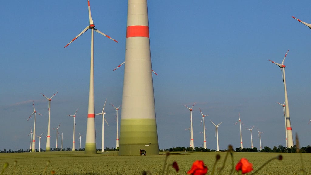 Auf Nachfrage der Redaktion der Volksstimme äußern sich vier Ortschaftsräte zu der von „mdp“ geplanten Erweiterung des Windanlagenparks Biere-Borne.