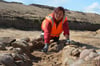 Mitarbeiterin Britt Labrenz hat schon an vielen Ausgrabungen teilgenommen. Am Donnerstag hat sie die Überreste in einem etwa 2500 Jahre alten Steingrab freigelegt.