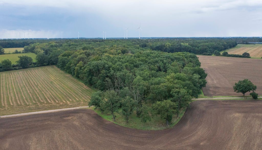 Areal Rößling zwischen Mosigkau und Chörau, hier soll ein Naturschutzgebiet entstehen