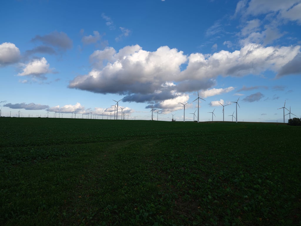 Ein Windpark. Hier wird elektrische Energie aus Wind erzeugt.