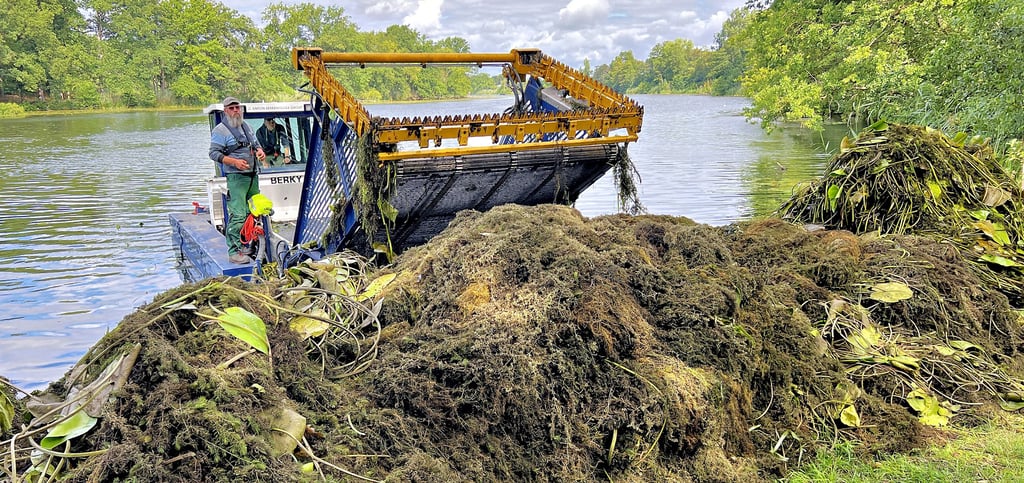 Eine Firma aus Norddeutschland befreite die Fahrrinne des Klietzer See vom Bewuchs, was ein modernes kombiniertes Mähboot erledigte. Das nasse Mähgut – was vor allem aus der Kanadischen Wasserpest bestand – wurde am Ufer zwischengelagert.