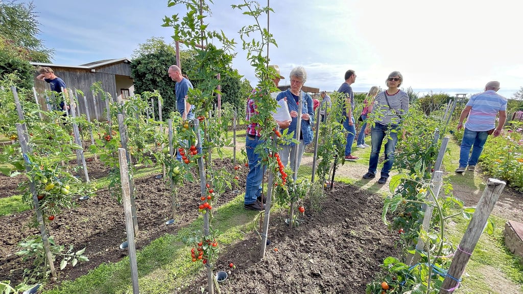 Zahlreiche Besucher haben sich zum Tomatentag über die verschiedenen Züchtungen informiert.