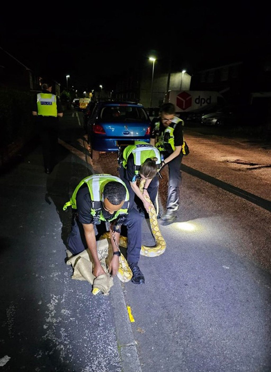 Polizeibeamte fangen den 3,6 Meter langen Python ein.