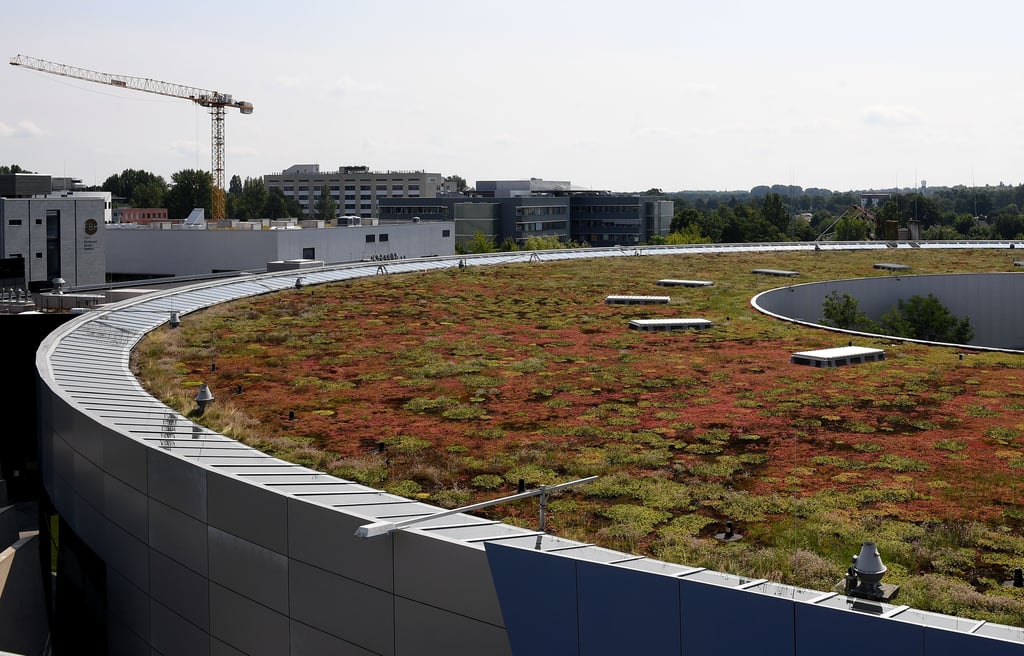 Ein Beispiel für eine Dachbegrünung - umgesetzt im Wissenschafts- und Wirtschaftsstandort Adlershof in Berlin.