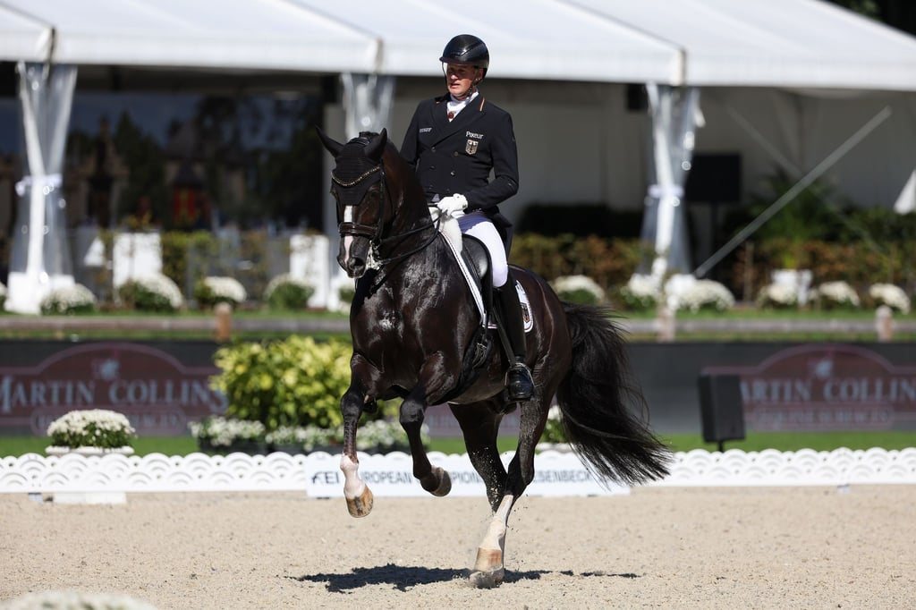 Dressurreiter Matthias Alexander Rath auf seinem Pferd Thiago GS.