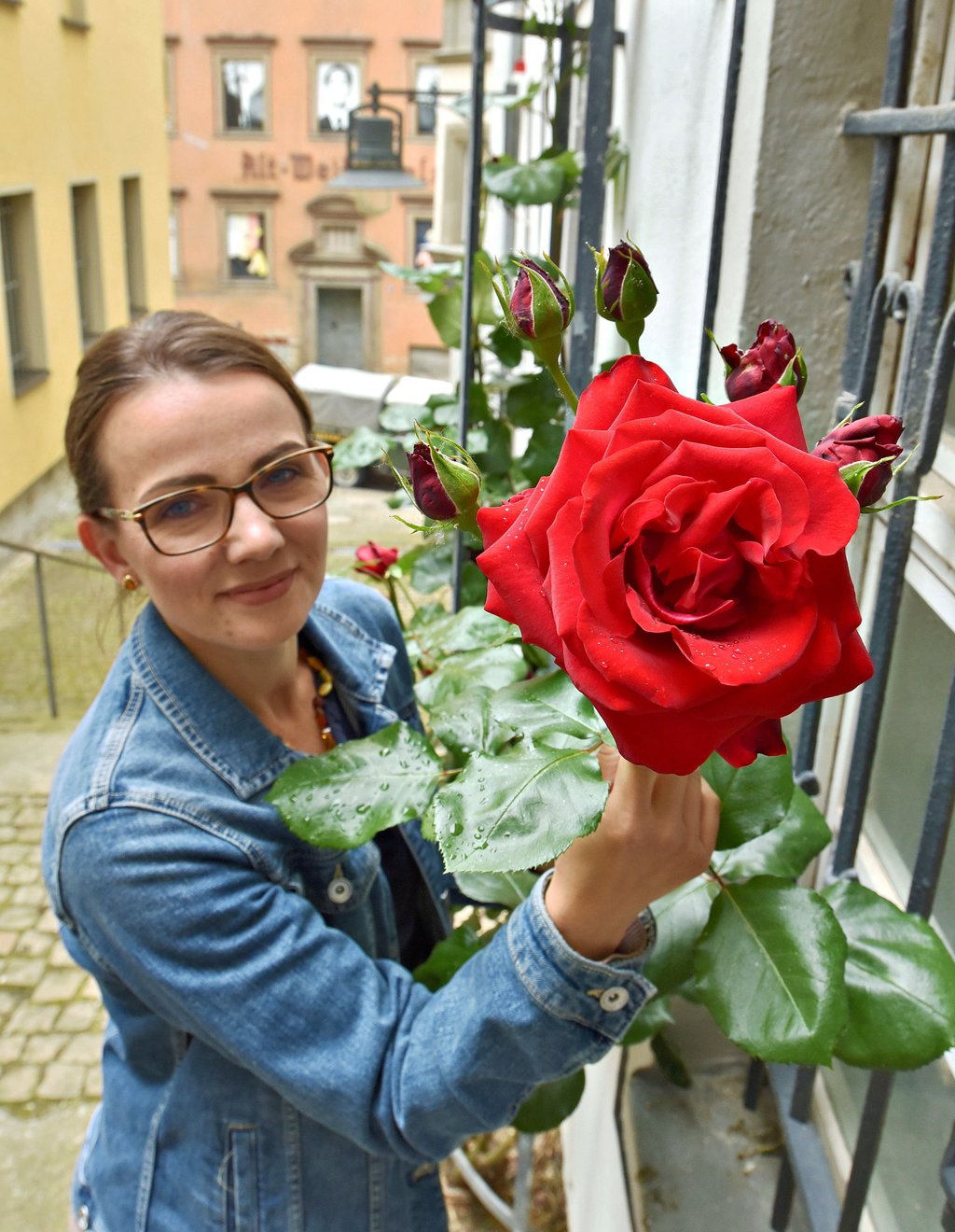 Rosen schmücken das Geleitshaus in Weißenfels
