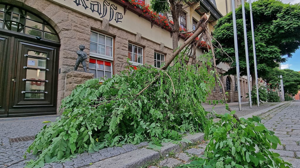 Vandalismus ist, wie hier auf dem Marktplatz, immer wieder ein Thema in Aschersleben.