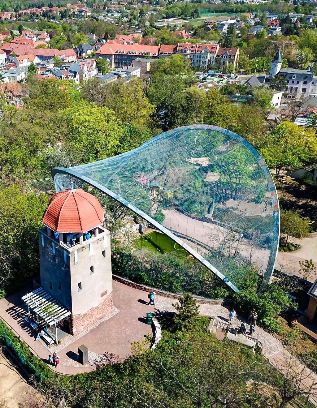 Hoch oben auf dem Reilsberg: Der Bergzoo Halle