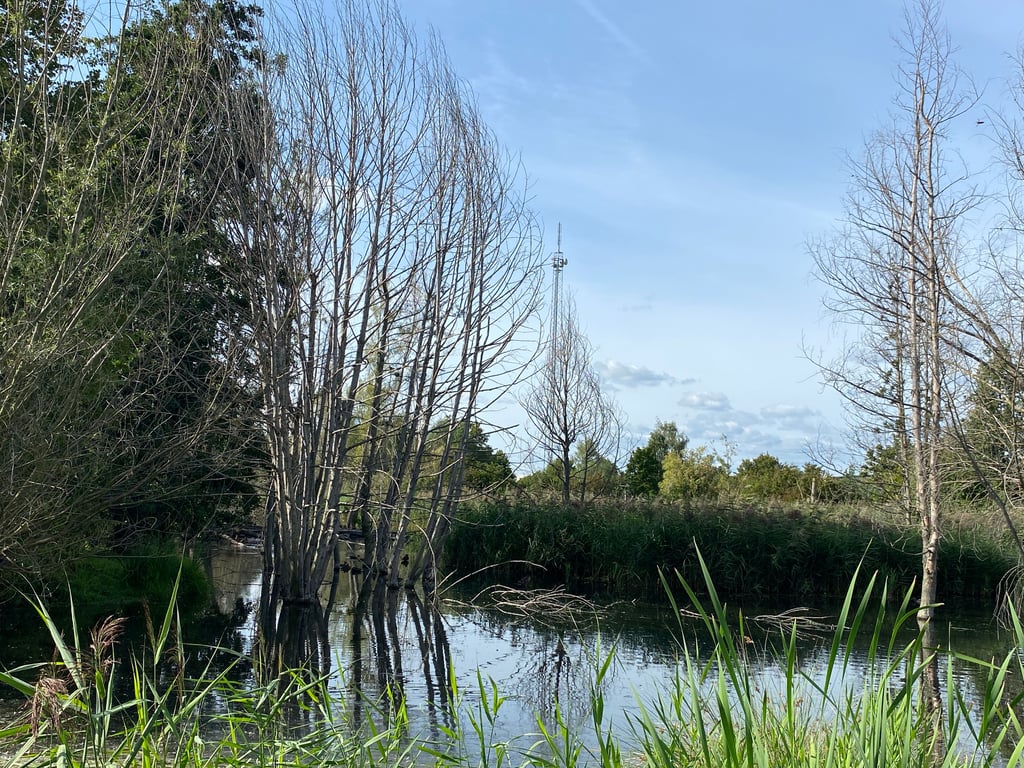 Radtour nach Barleben,