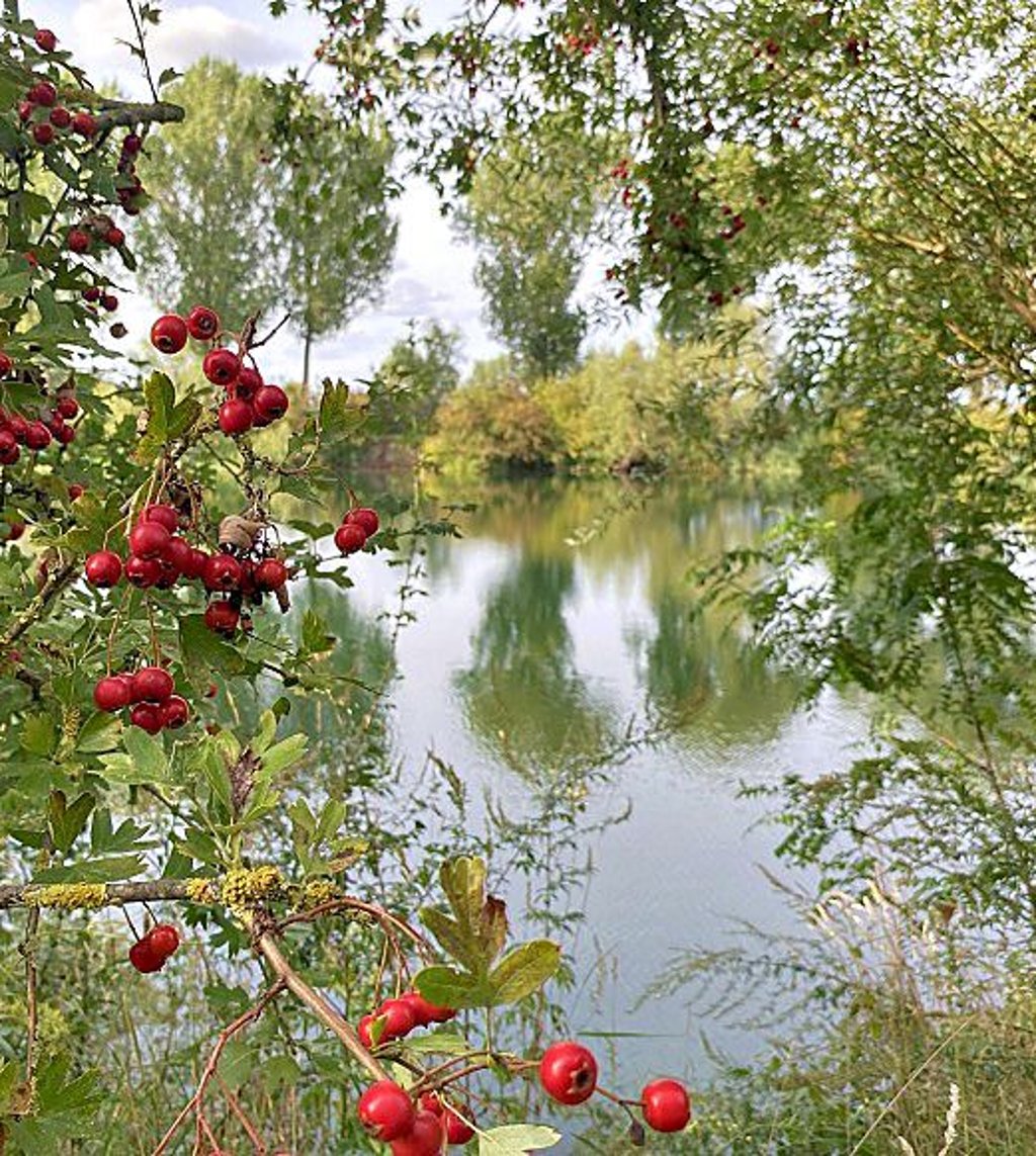 Blick auf den Barleber Steinbruch.
