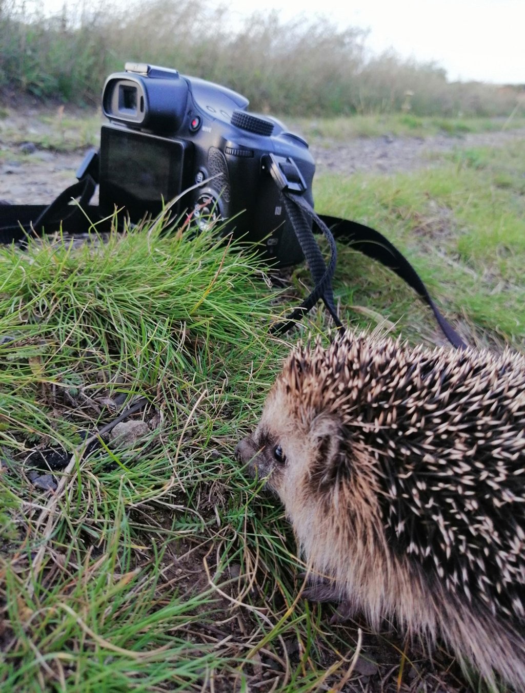 Momentaufnahmen von Sandy Zöllner werden in Magdeburg gezeigt.