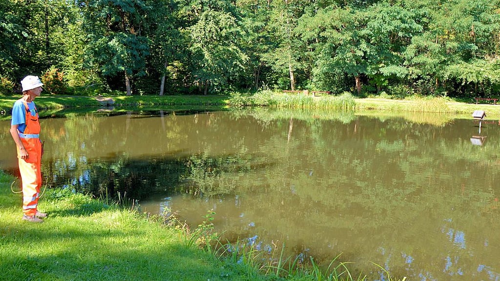 Der Dorfteich in Detershagen ist nicht nur ein beliebter Treffpunkt, sondern auch ein begehrtes Fotomotiv.