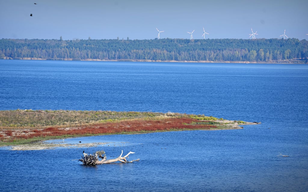 Im Muldestausee wurden erstmals in dieser Saison Blaualgen nachgewiesen.