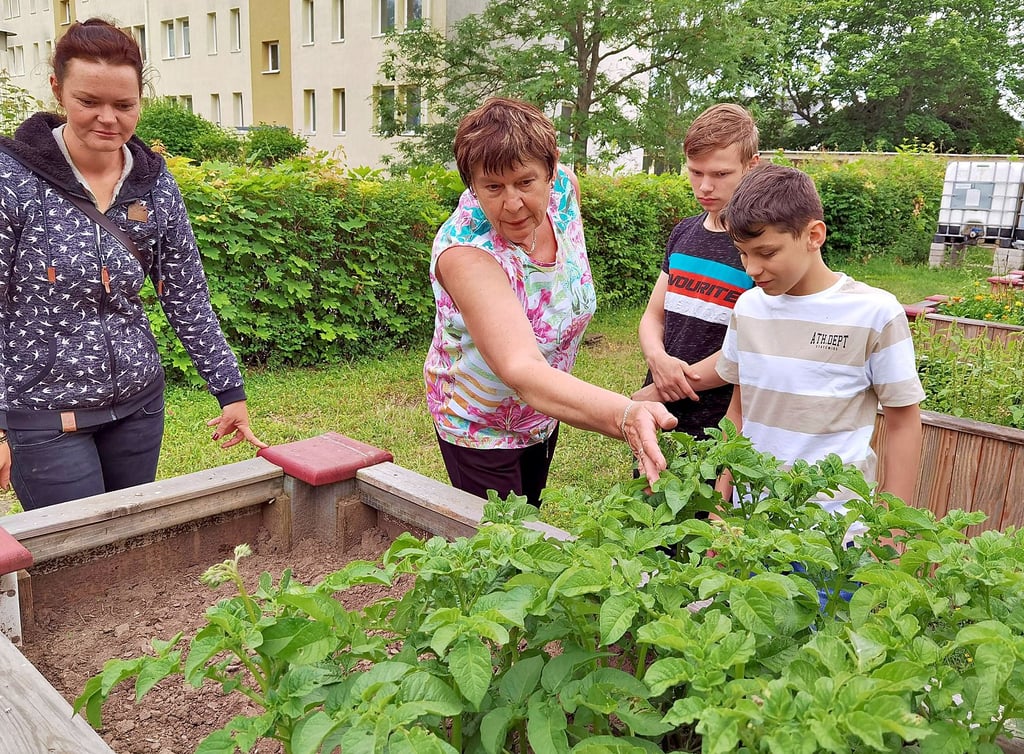 Die Hochbeete der Busch-Schule in Wienrode stehen unter Patenschaft der Schüler. Bewässert werden die Beete unter anderem über aufgefangenes Regenwasser vom Dach der Turnhalle. Hier erläutert Christine Hahmann Jana Schrader (links) von der Stadtverwaltung, was hier alles angebaut wird.