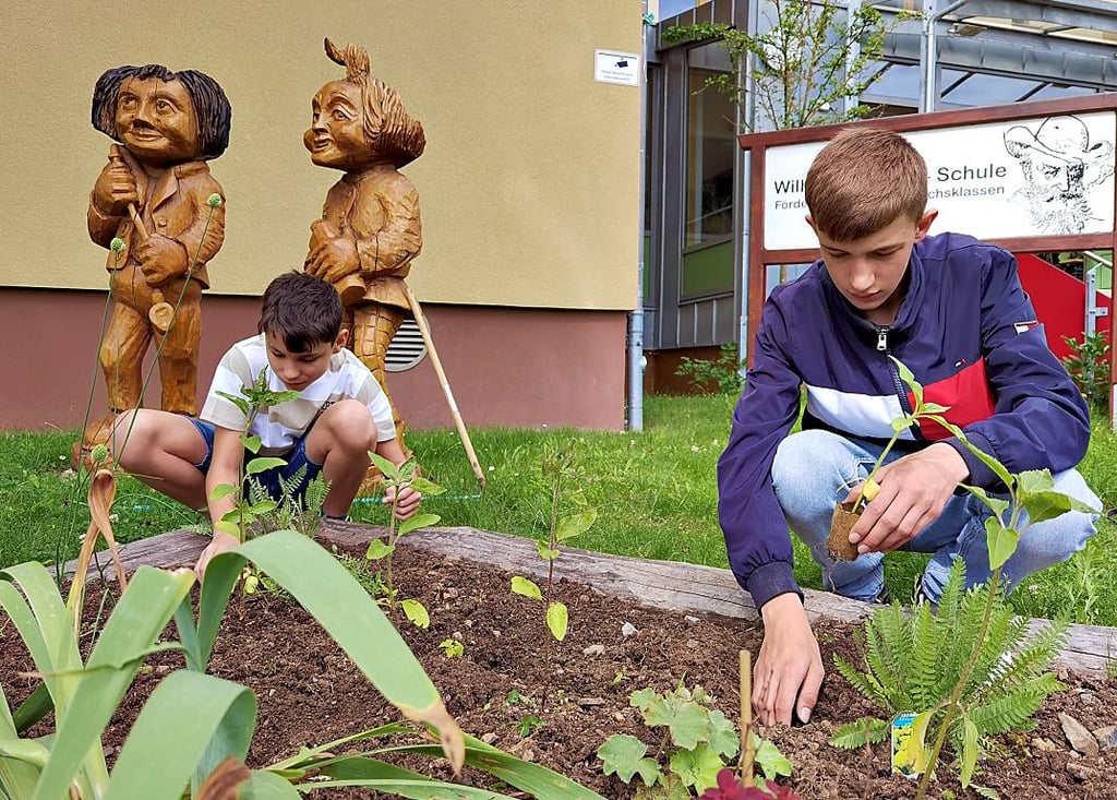 Tyler und Dominic beim Einsetzen von selbst gezogenen Sonnenblumen am Eingang zur Wilhelm-Busch-Schule in Wienrode.