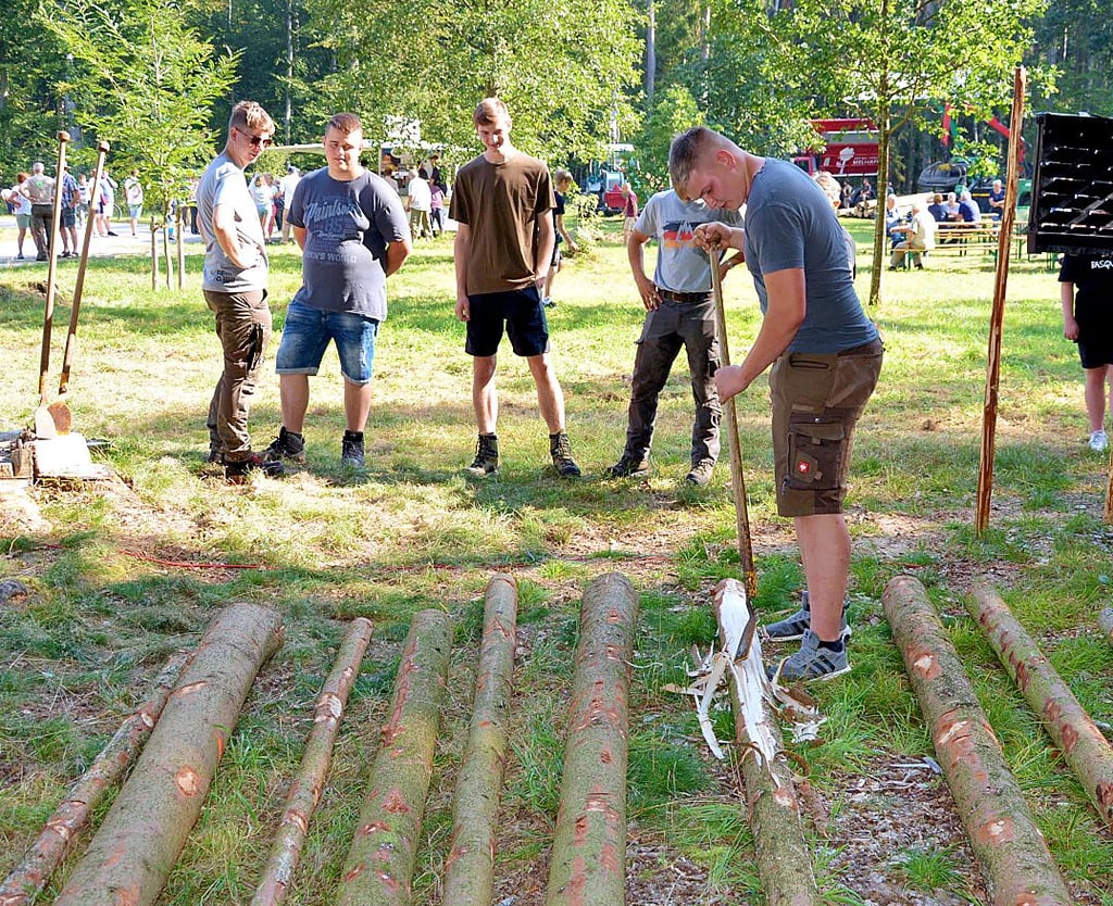 Forstwirt-Lehrling Hans Koeppe beim händischen Abschälen eines Baumstammes, der von einem Borkenkäfer befallen ist.