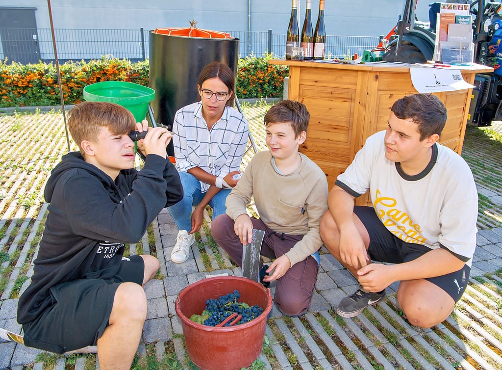 Auf der Ausbildungsmesse „my Future“ bestimmten Jason Geißler (v.l.), Nils Schied und Max Wappler mit Hilfe von Julia Frölich von Weingut Frölich-Hake mit dem Refraktometer den Oechsle-Wert der Weintrauben.