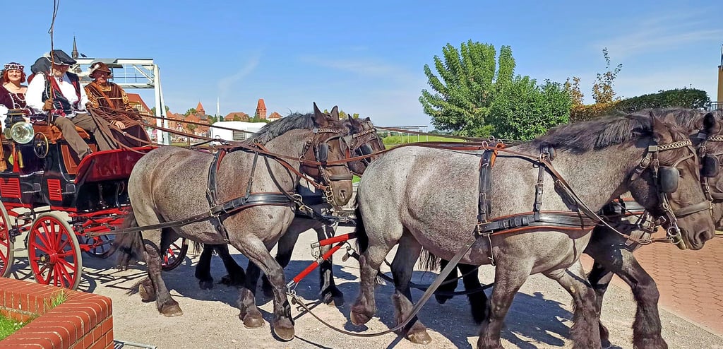 Abfahrt zum Kaiserumzug des 34. Tangermünder Burgfestes. Pferde und Kutsche starten vom Gelände der Bootshäuser am Hafen aus durch die Stendaler Straße zum Neustädter Tor. Dort beginnt der Umzug.