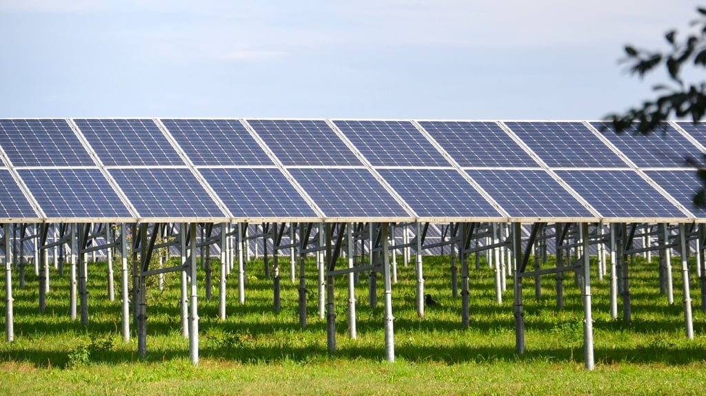 Rund um Zerbst sollen mehrere Solarparks entstehen.