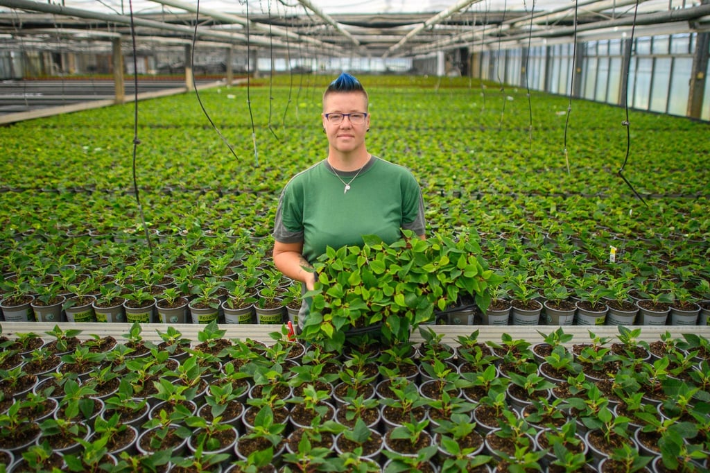 JobProtokoll Was macht eigentlich eine Gärtnerin?