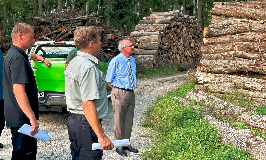 Staatssekretär Gert Zender (v.r.), Förster Roy Eckstein und Matthias Henniger (Geo-Naturpark) beim Besuch des Waldes nahe Wangen.